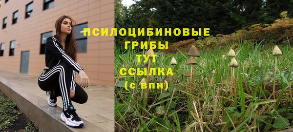 хмурый Алексин